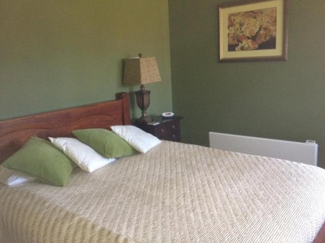 Greengate Bed And Breakfast Robertson Camera foto